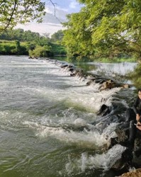 九游游戏中心-云南一交管大队队长被举报在KTV违规饮酒与女子举止亲密，本人称喝的茶水，女子突然靠近我下意识推了她；官方：初步调查举报不实